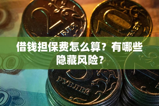 武汉借钱担保费怎么算？有哪些隐藏风险？