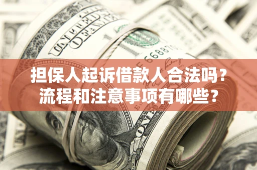 武汉担保人起诉借款人合法吗？流程和注意事项有哪些？