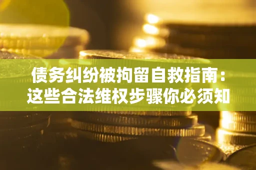 武汉债务纠纷被拘留自救指南：这些合法维权步骤你必须知道！