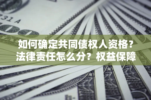 武汉如何确定共同债权人资格？法律责任怎么分？权益保障技巧揭秘！