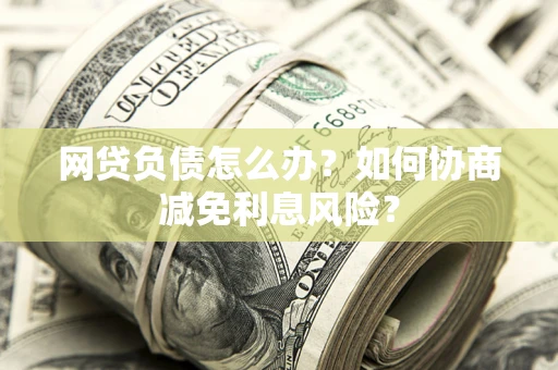 武汉网贷负债怎么办？如何协商减免利息风险？