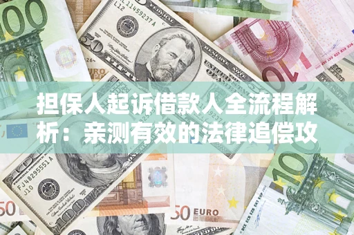 武汉担保人起诉借款人全流程解析：亲测有效的法律追偿攻略