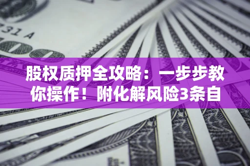 武汉股权质押全攻略：一步步教你操作！附化解风险3条自救法则