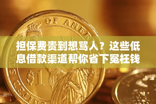 武汉担保费贵到想骂人？这些低息借款渠道帮你省下冤枉钱