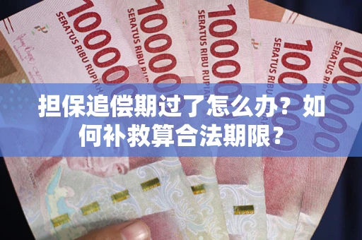 武汉担保追偿期过了怎么办？如何补救算合法期限？
