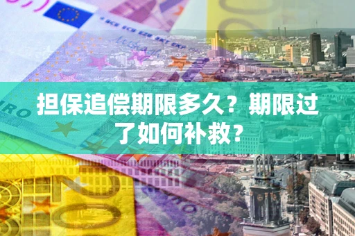 武汉担保追偿期限多久？期限过了如何补救？