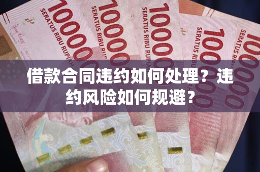武汉借款合同违约如何处理？违约风险如何规避？