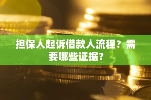 武汉担保人起诉借款人流程？需要哪些证据？
