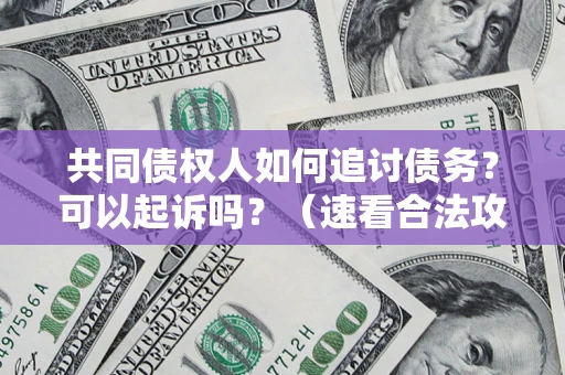 武汉共同债权人如何追讨债务？可以起诉吗？（速看合法攻略）