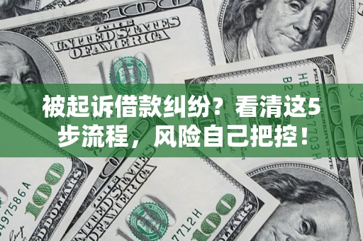 武汉被起诉借款纠纷？看清这5步流程，风险自己把控！