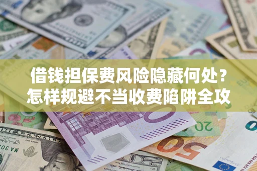 武汉借钱担保费风险隐藏何处？怎样规避不当收费陷阱全攻略！