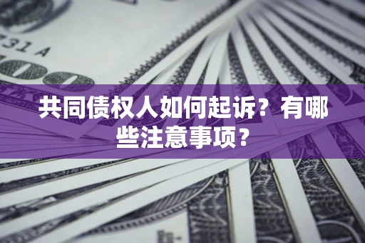 武汉共同债权人如何起诉？有哪些注意事项？