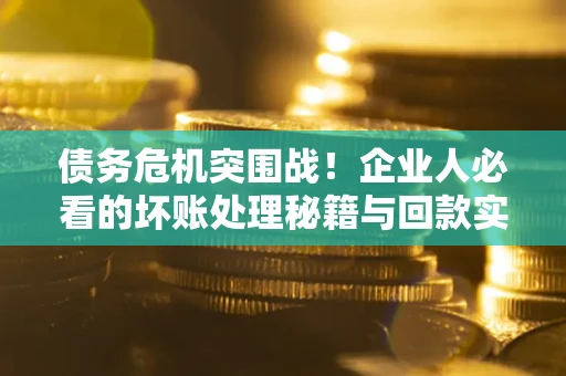 武汉债务危机突围战！企业人必看的坏账处理秘籍与回款实战指南